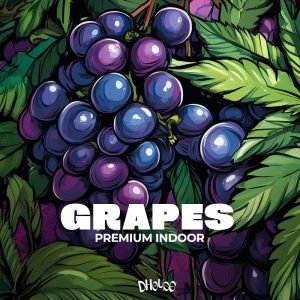 Grapes / Premium Indoor Flower