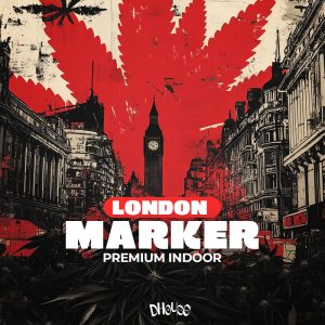 London Marker / Premium Indoor Flower