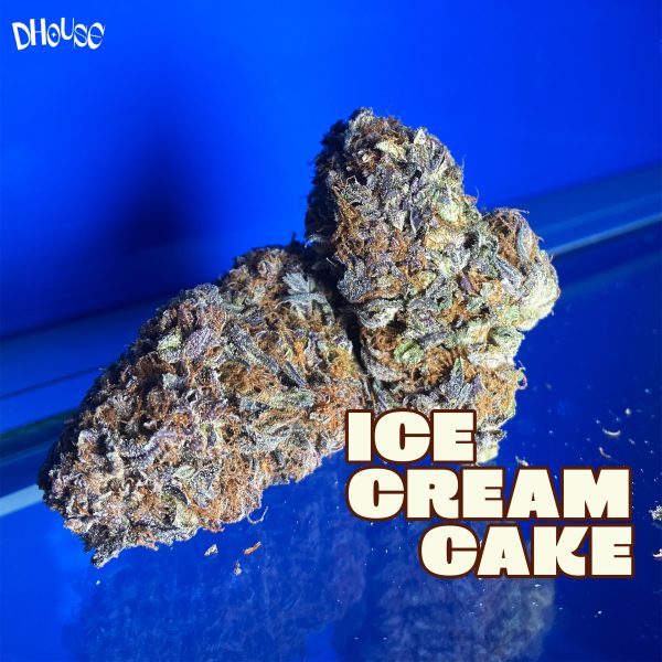Ice Cream Cake - Image 3