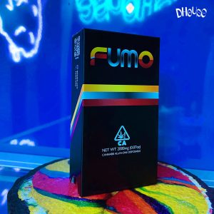 Fumo vape 2g